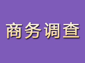 施秉商务调查